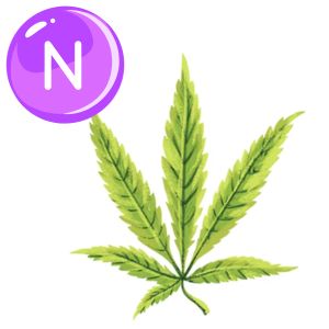 nitrogen deficiency